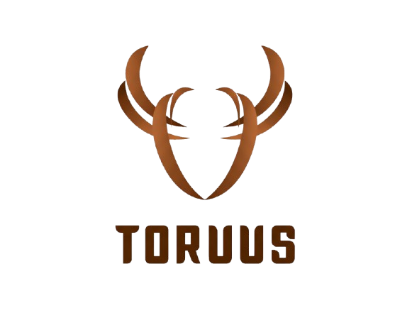 TORUUS